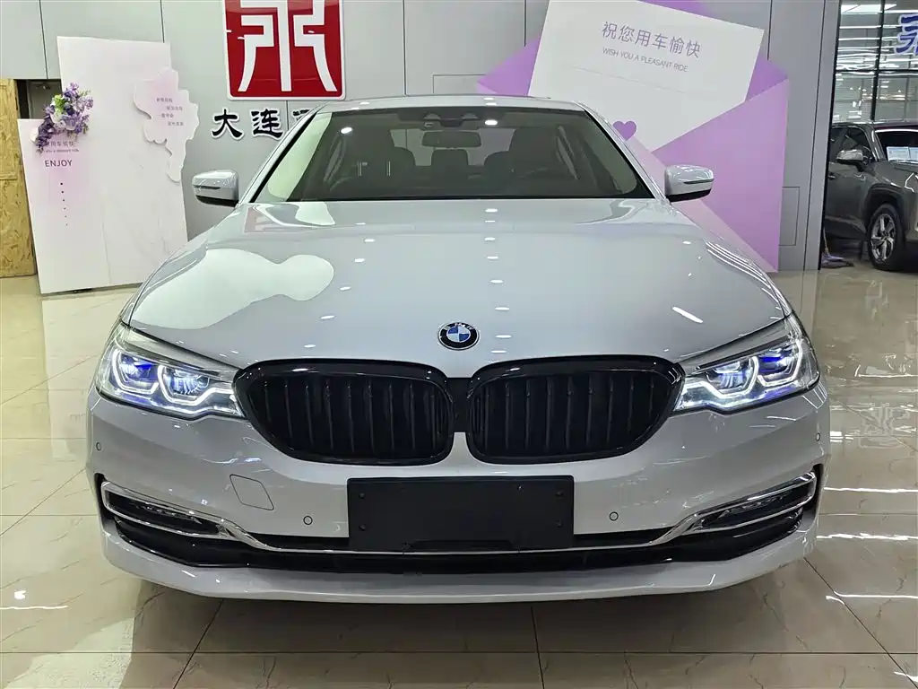 BMW 5 SERIES NEW ENERGY