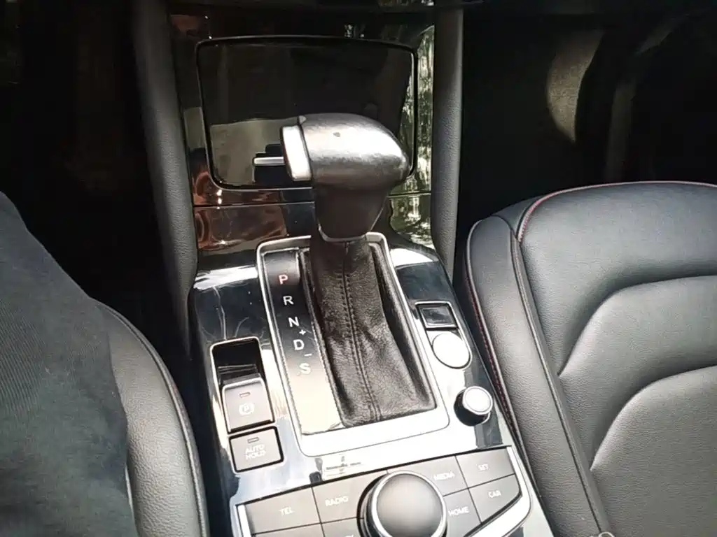 Borgward BX5 2019 2017 Model 20TGDI Automatic 2WD Vanguard Type