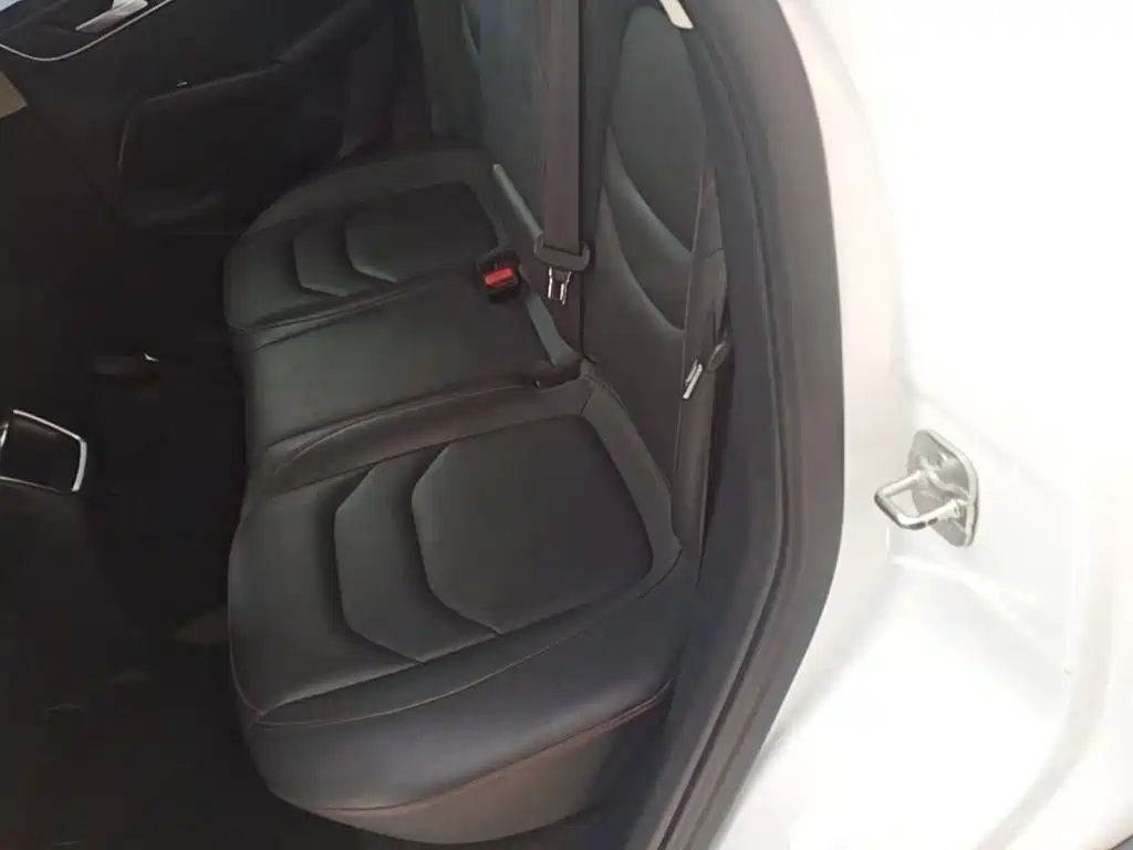 Borgward BX5 2019 2017 Model 20TGDI Automatic 2WD Vanguard Type