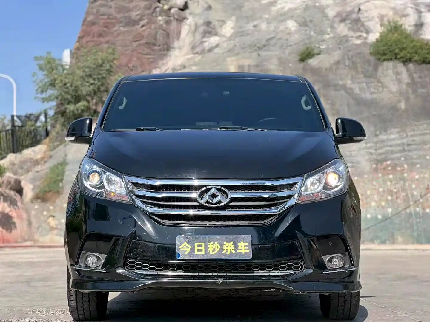 Фото 2 - Maxus G10