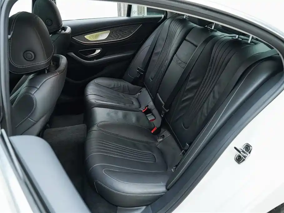 Mercedes-Benz CLS 2020 CLS 300 Luxury фото 4