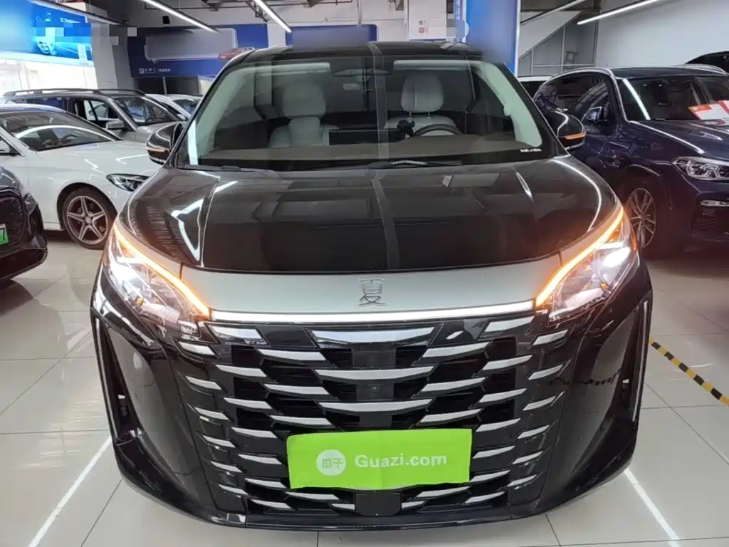 2025 BYD Xia