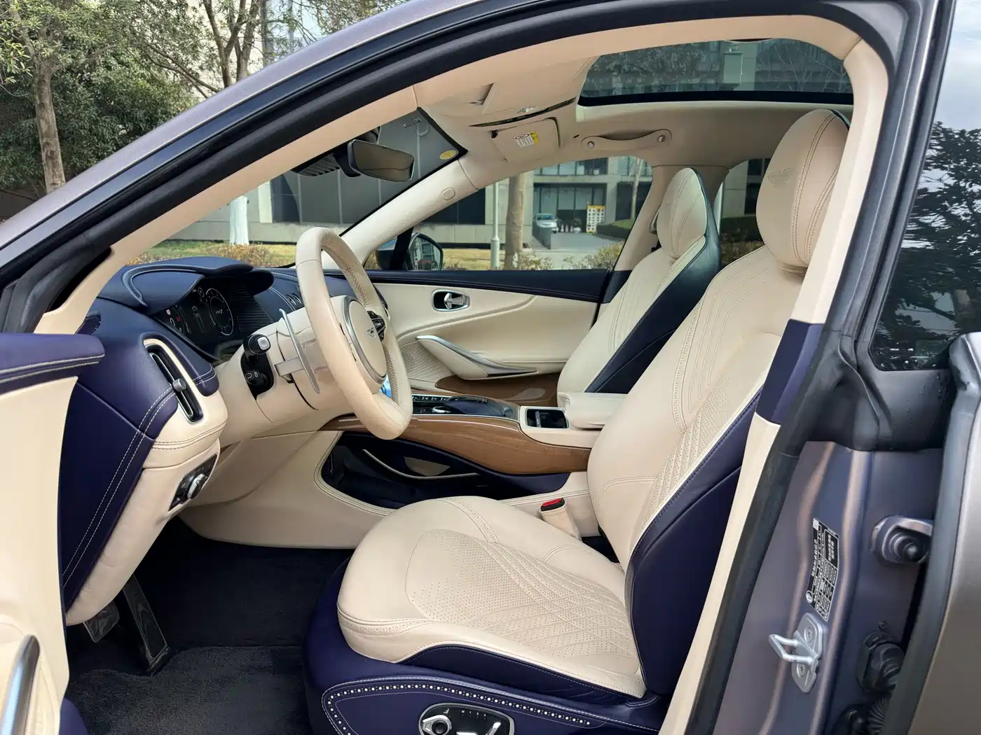 Aston Martin DBX 2021 2021 4.0T V8 Enigma of Elegance