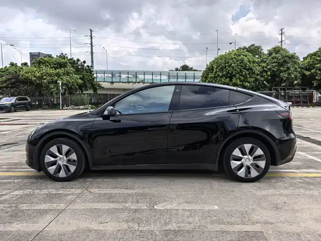 Tesla Model Y 2021 Standard Range Rear-Wheel Drive — фото 3