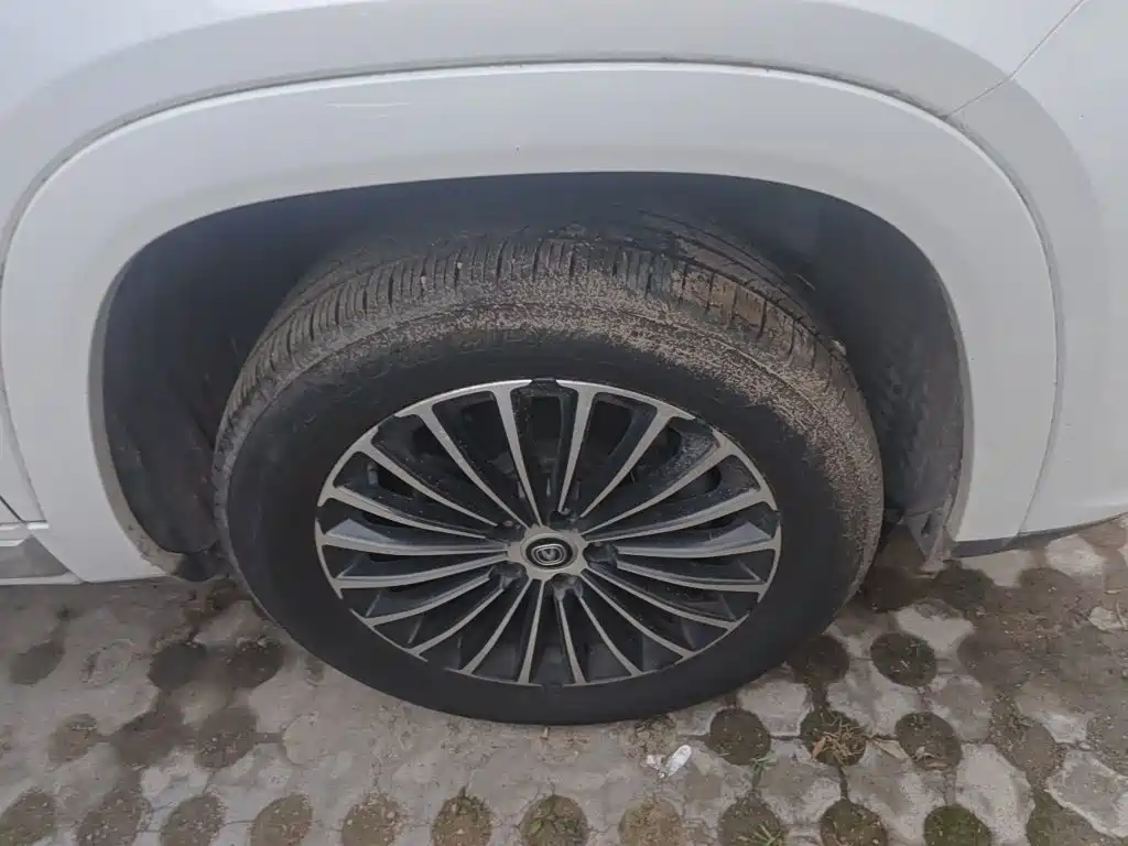 Changan CS95 2019 2019 2.0T 4WD Luxury Model