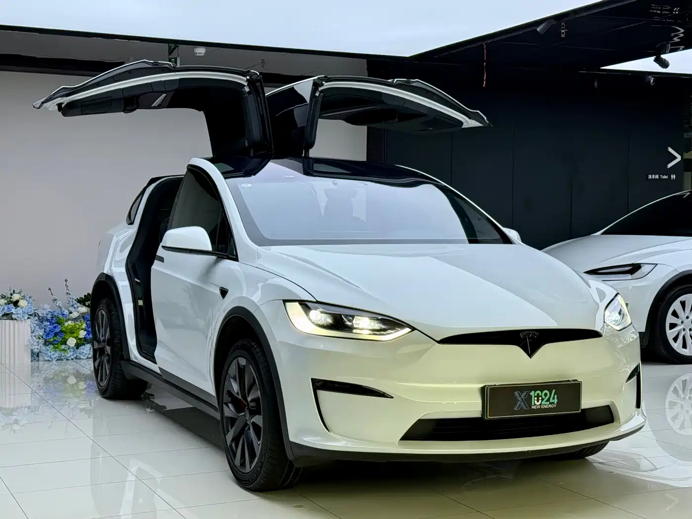 Tesla Model X 2023 Tri-motor AWD Plaid фото 3