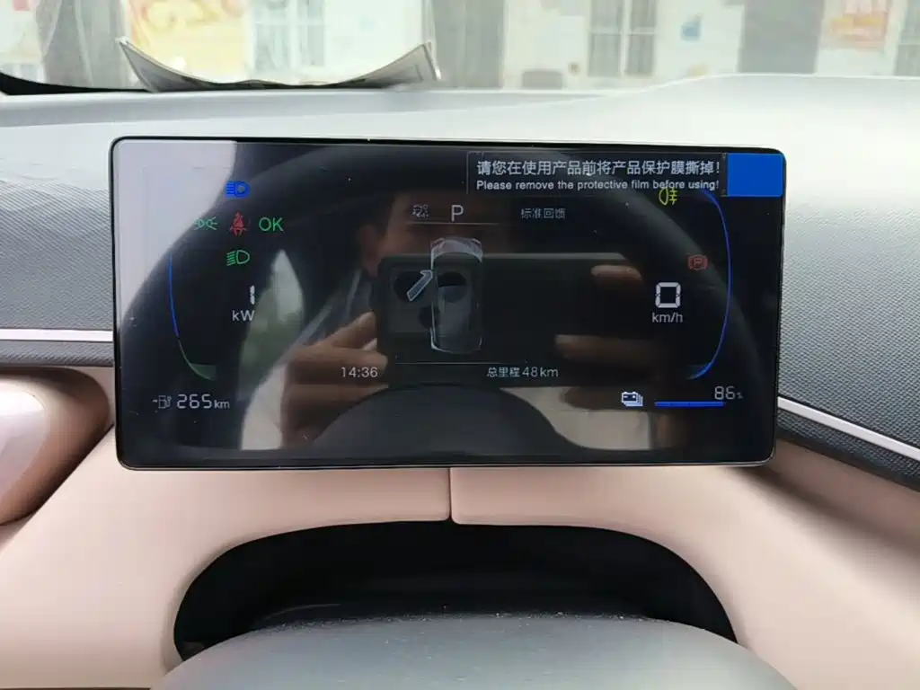 BYD Seagull 2026 2025 Smart Drive Edition 305km Vitality Version