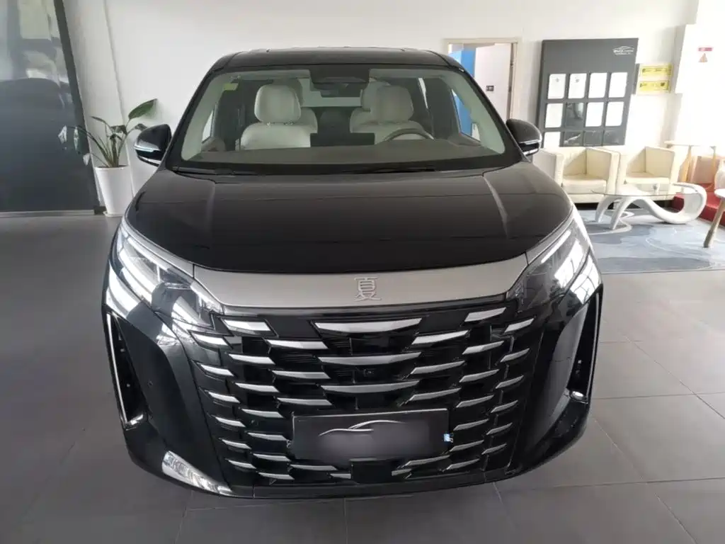 2025 BYD Xia
