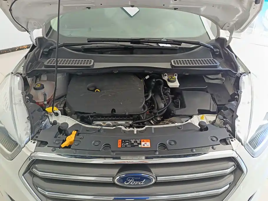 Ford Kuga 2021 2019 EcoBoost 180 2WD Platinum Wing Edition China VI