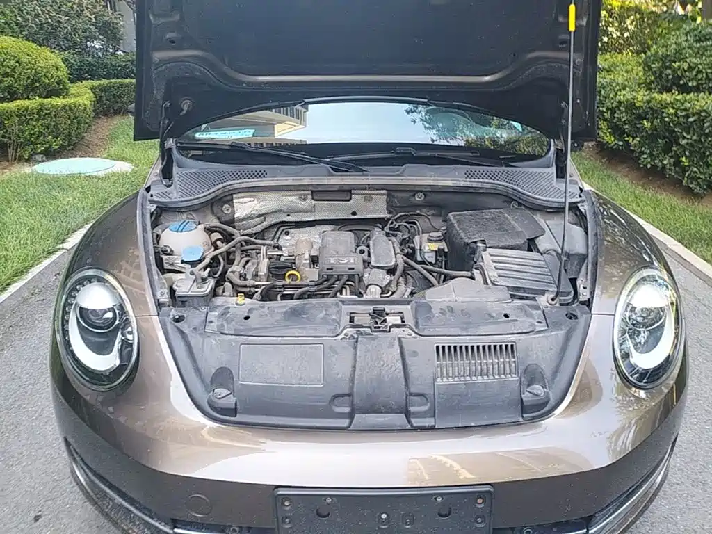 Photo 20 - Volkswagen Beetle