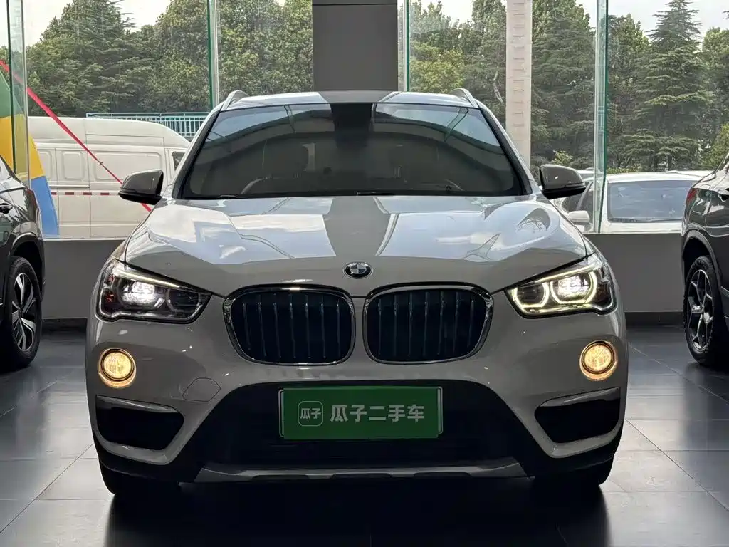 BMW X1 New Energy 2020 2019 xDrive25Le Range Upgrade Edition