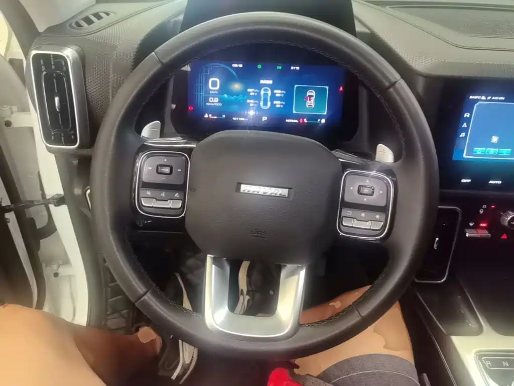 Photo 11 - Haval Big Dog