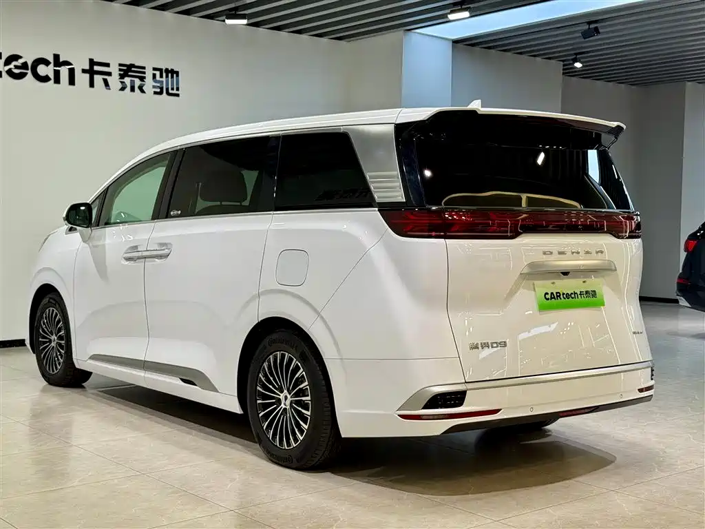 Denza D9 2024 DM-i 980 AWD Prestige фото 6
