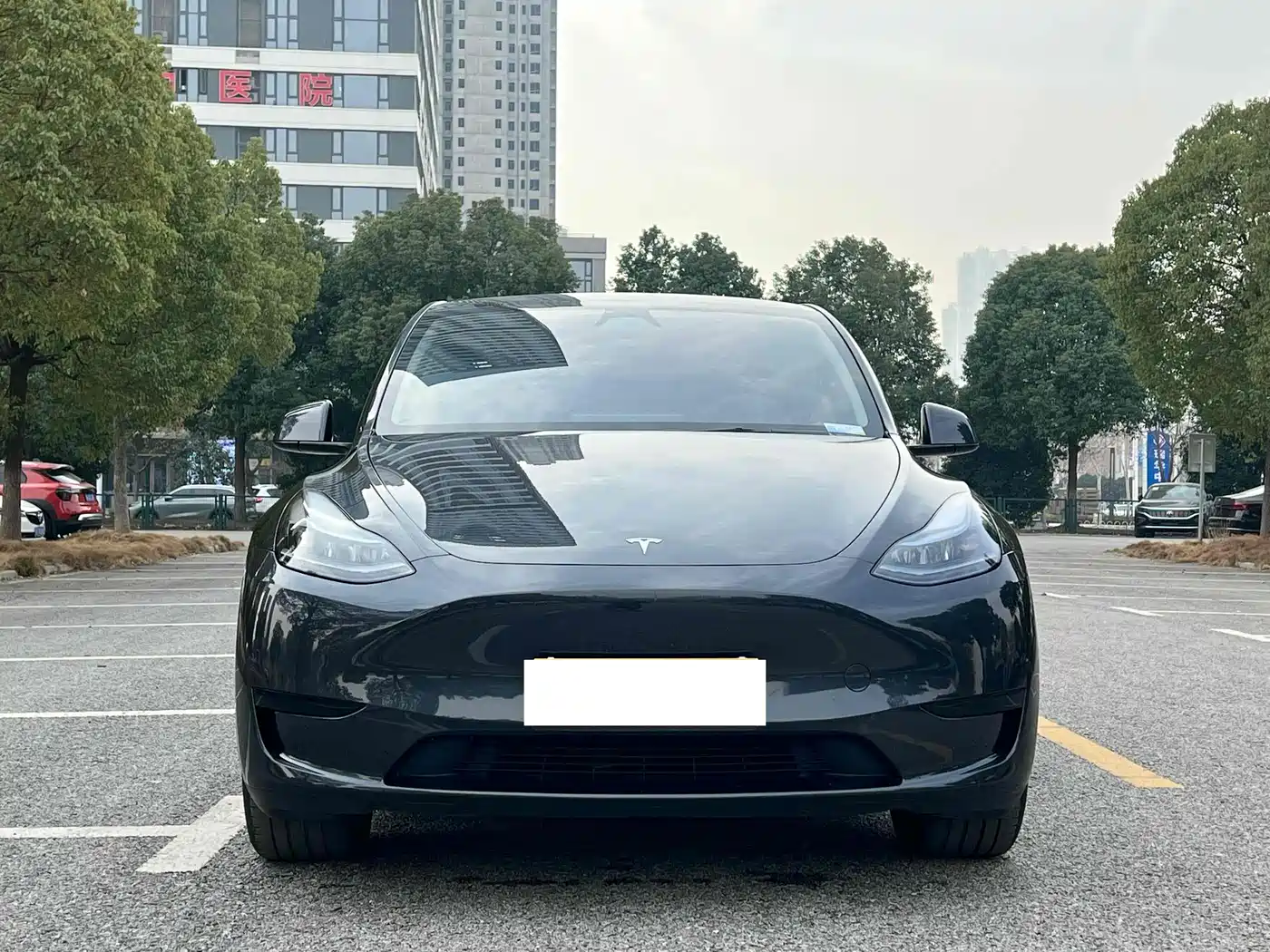 Фото 2 - Tesla Model Y