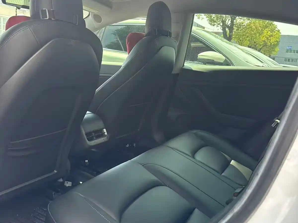 Tesla Model 3 2020 2020 Standard Range Rear-Wheel Drive Upgrade