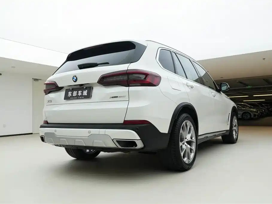 BMW X5 (Import) 2020 xDrive30i X Design Package фото 6