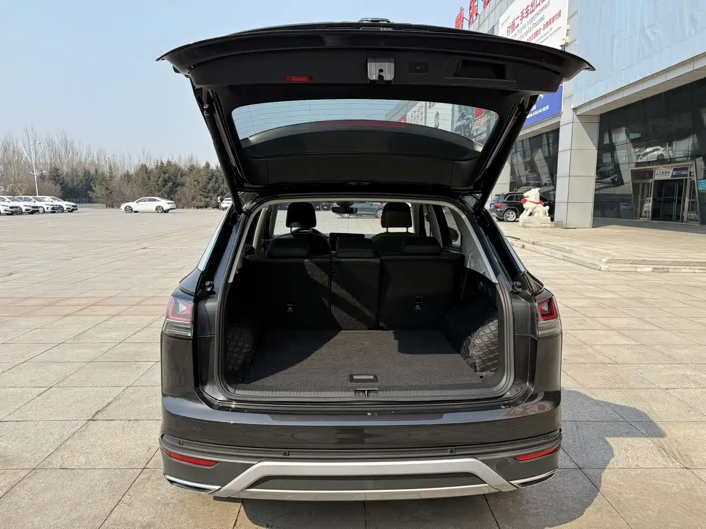 VOLKSWAGEN TANYUE