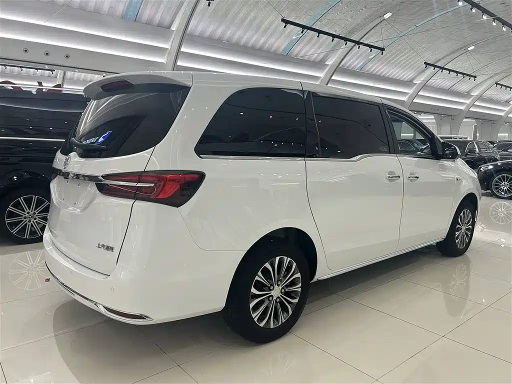 Buick GL8 2023 Land Business Class 652T Luxury фото 19