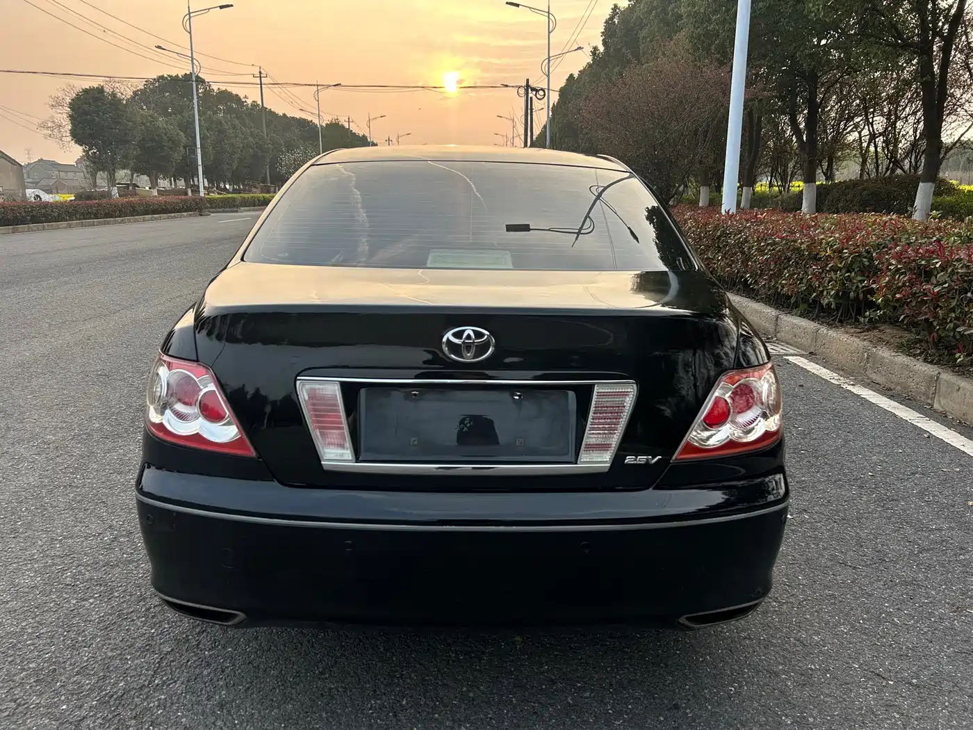 Toyota Reiz 2007 2.5S Leather Sunroof Edition фото 5