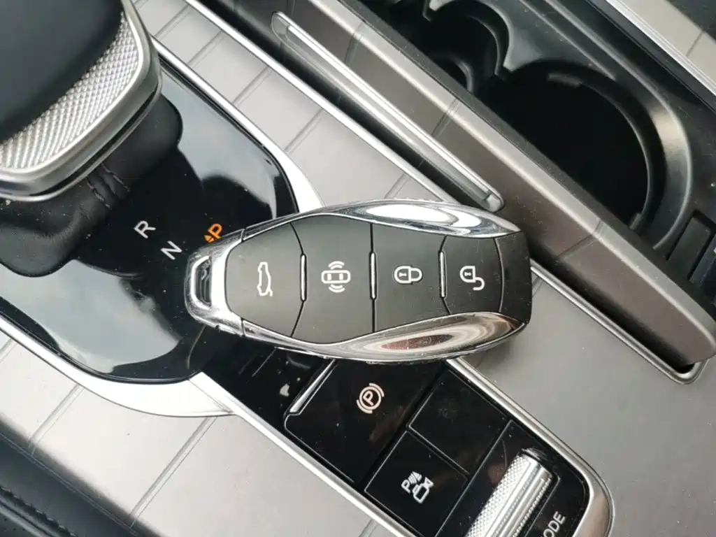 Photo 9 - Hongqi HS7 PHEV