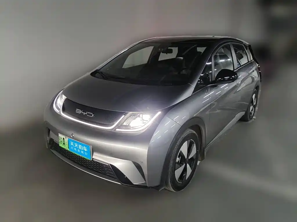 BYD Dolphin