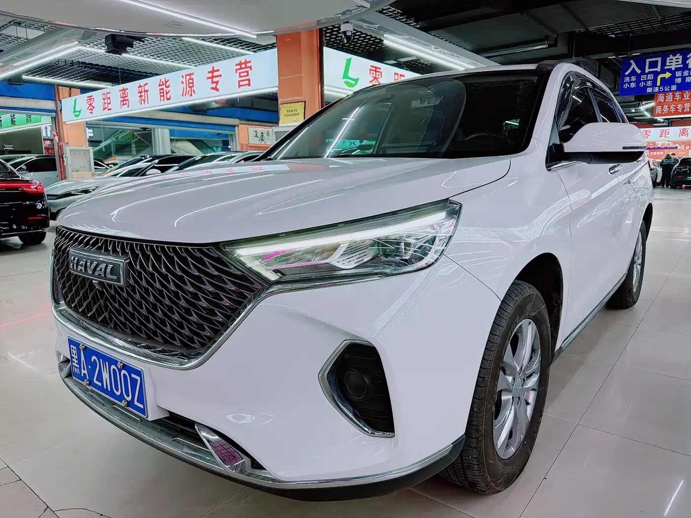HAVAL M6