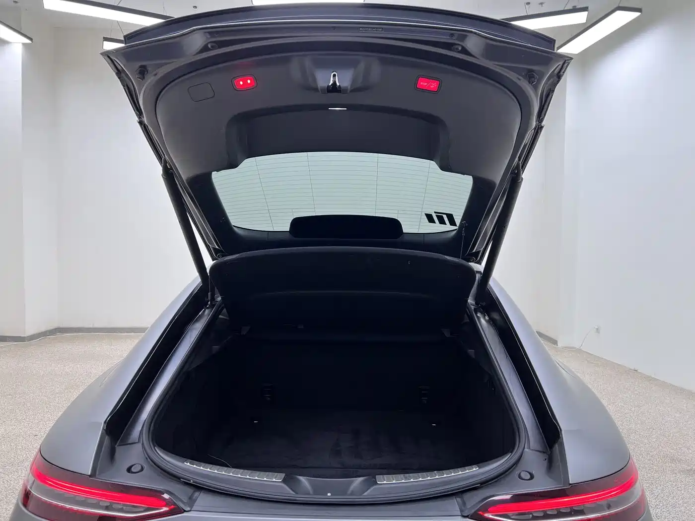 Mercedes-Benz AMG GT 2019 AMG GT 50 4-Door Coupe фото 37