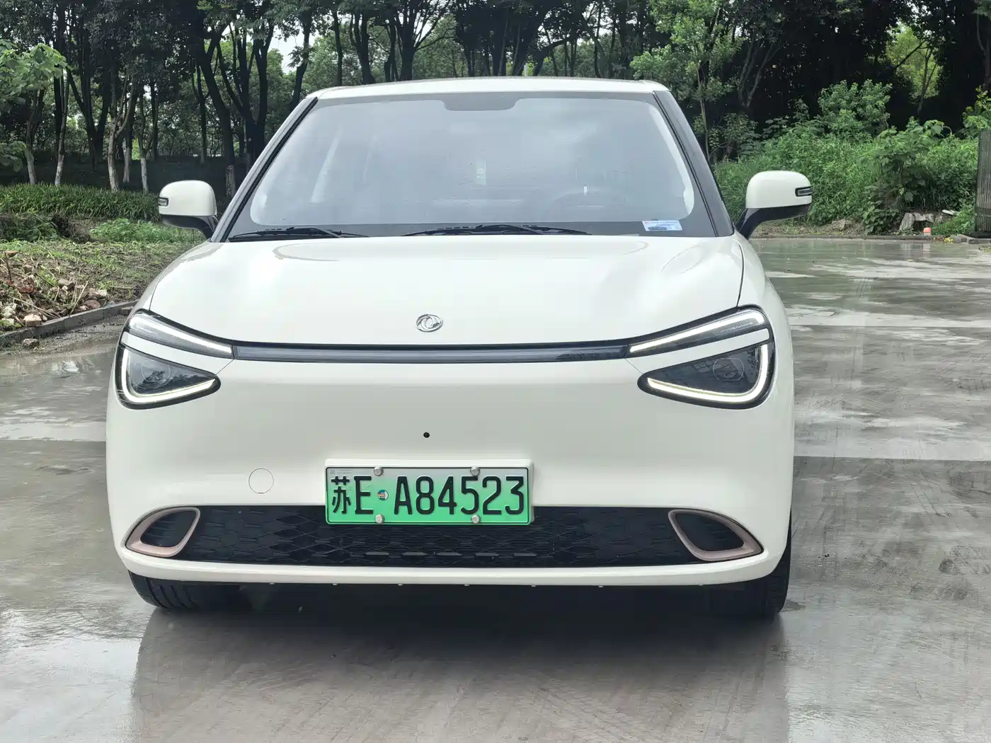 Dongfeng Yipai Nano 01 2024 2024 430 Plus Smart+