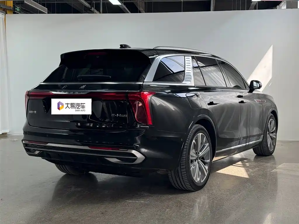 Hongqi HONGQI E HS9