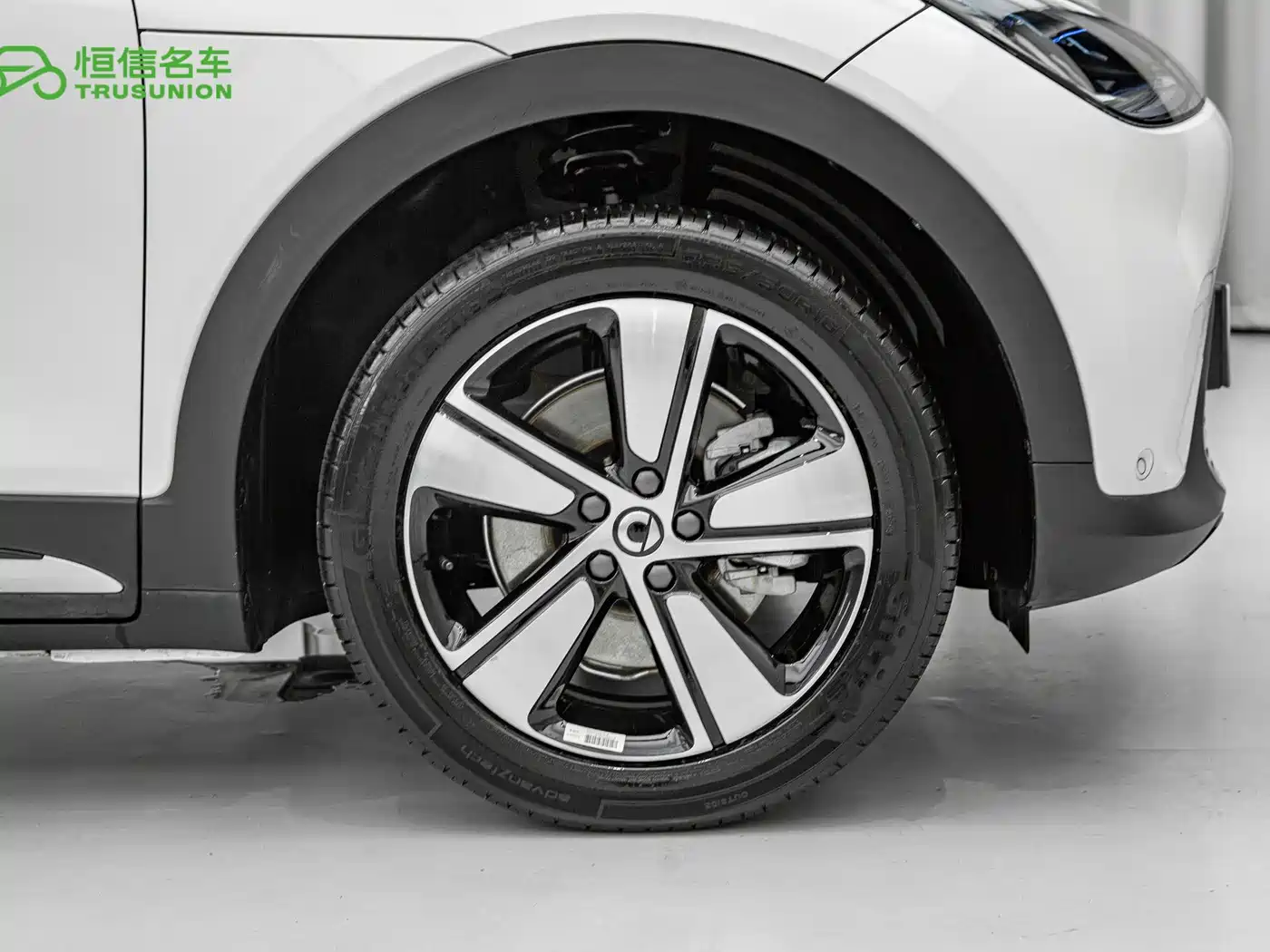 smart Elf #1 2025 2024 Agile Standard Edition
