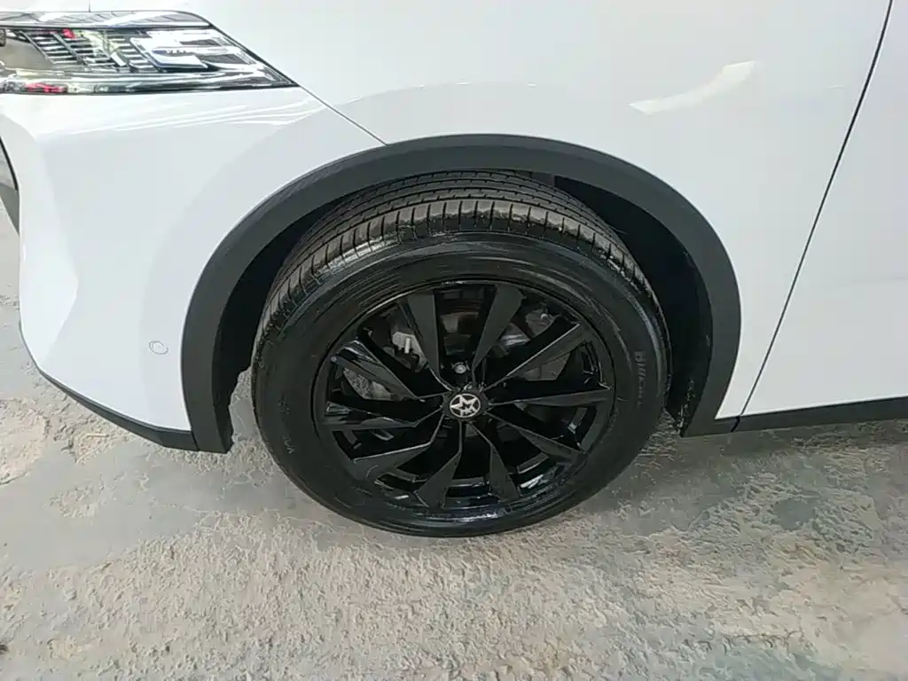 Venucia Big V 2022 2021 260T King Edition