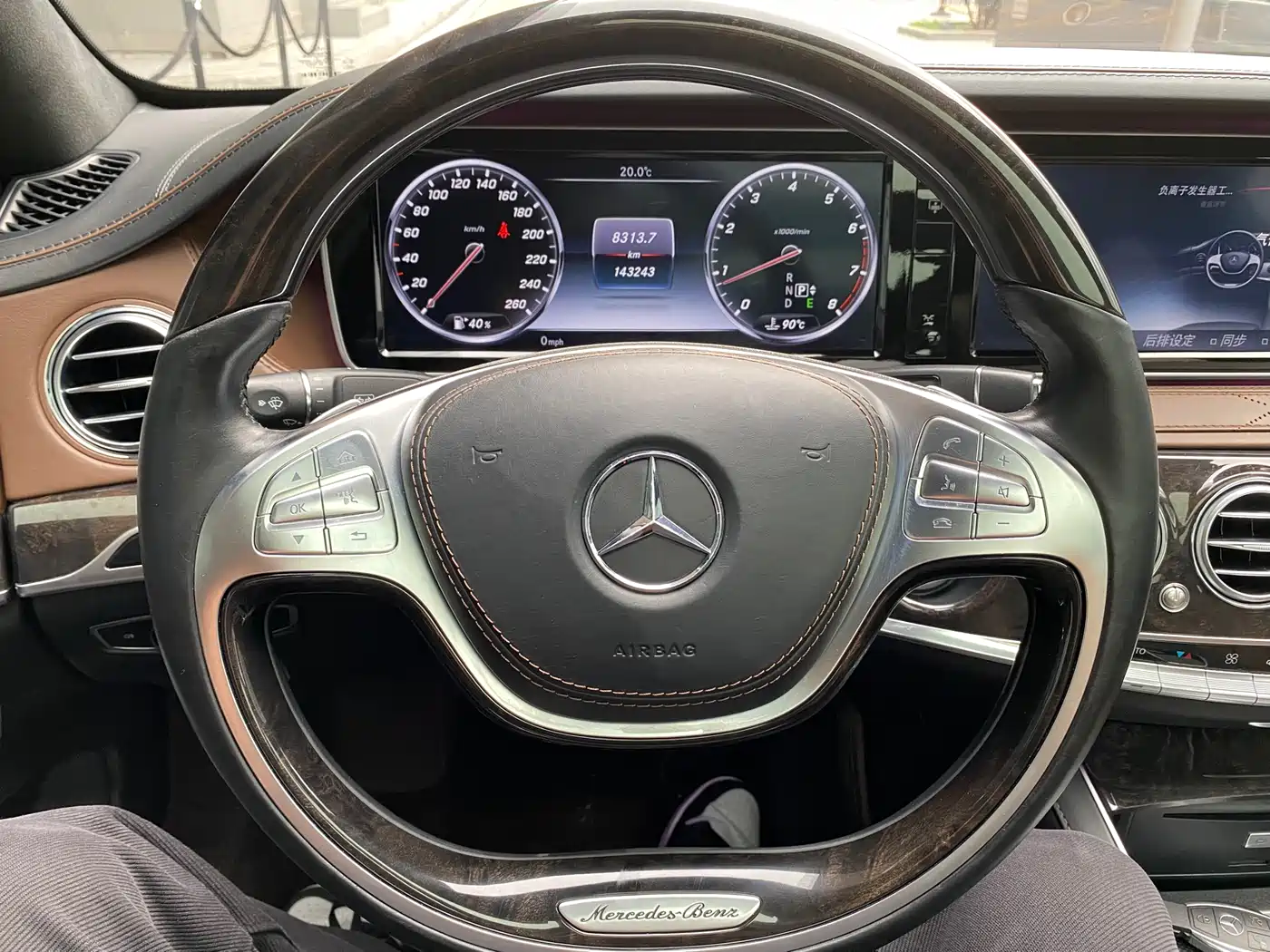 Mercedes-Benz S-Class 2014 S 600 L фото 10
