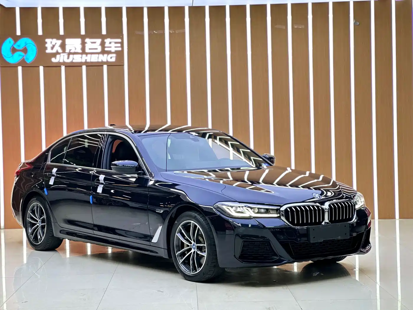 BMW 5 Series New Energy 2021 535Le M Sport Package фото 2
