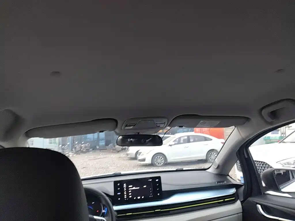 Geely Geometry EX3 Kung Fu Bull 2022 2021 Strong Bull