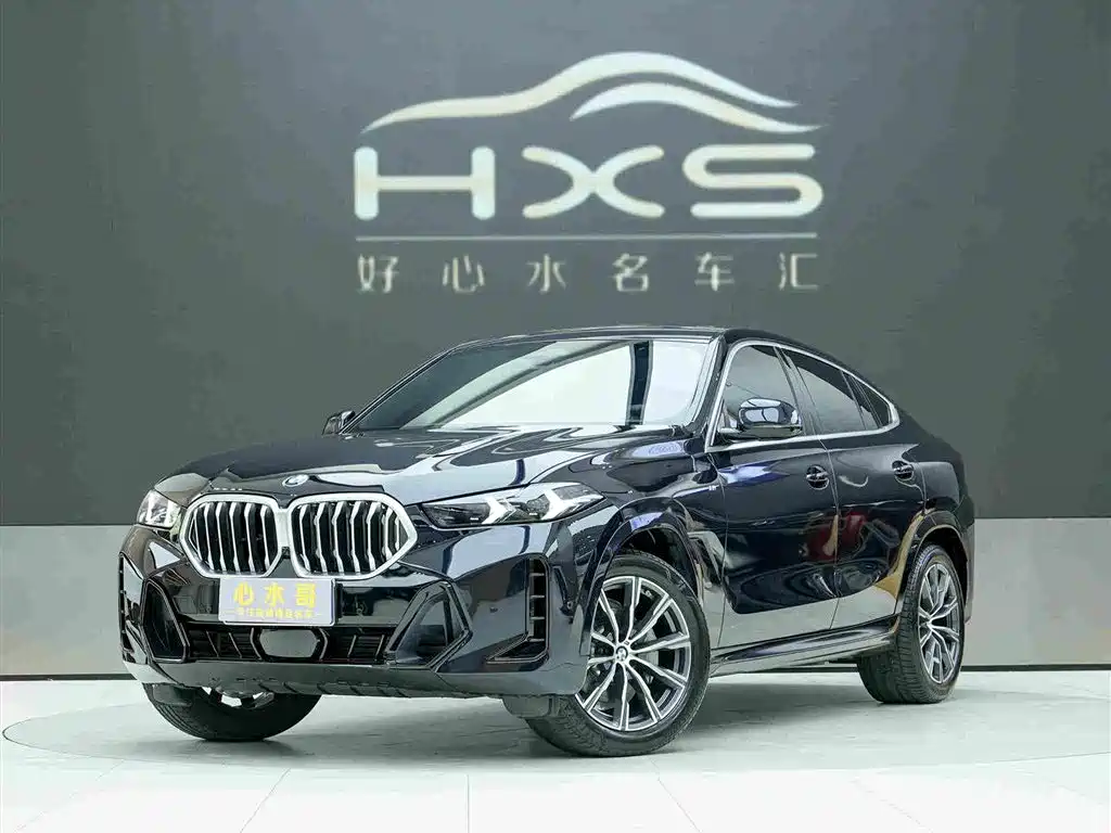 BMW X6 2025 2023 xDrive30i M Sport Package
