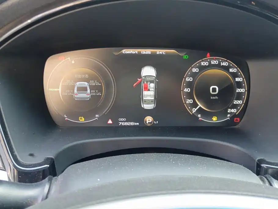 Geely Borui PHEV 2019 2018 1.5T PHEV Premium Edition