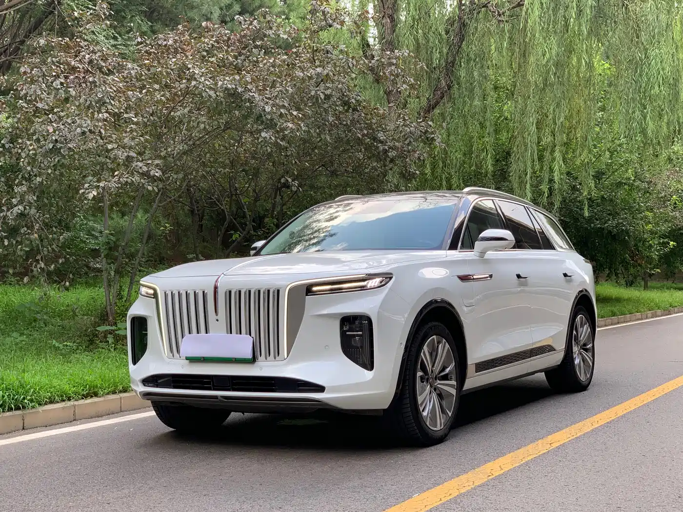 Hongqi E-HS9 2023 2022 690km Qi Xiang Edition (6-seater)