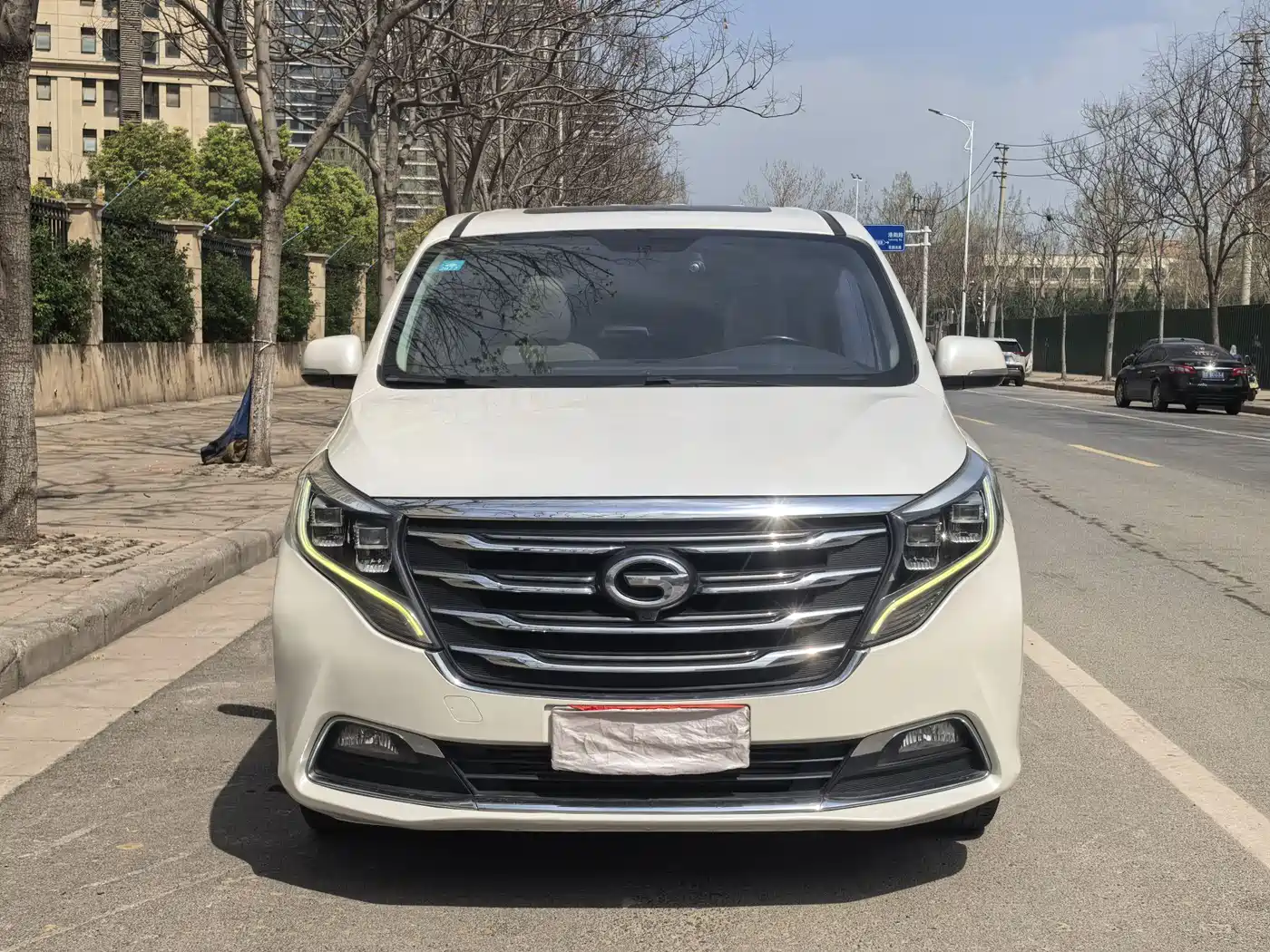 GAC Trumpchi Trumpchi M8 2018 320T Exclusive Edition фото 2