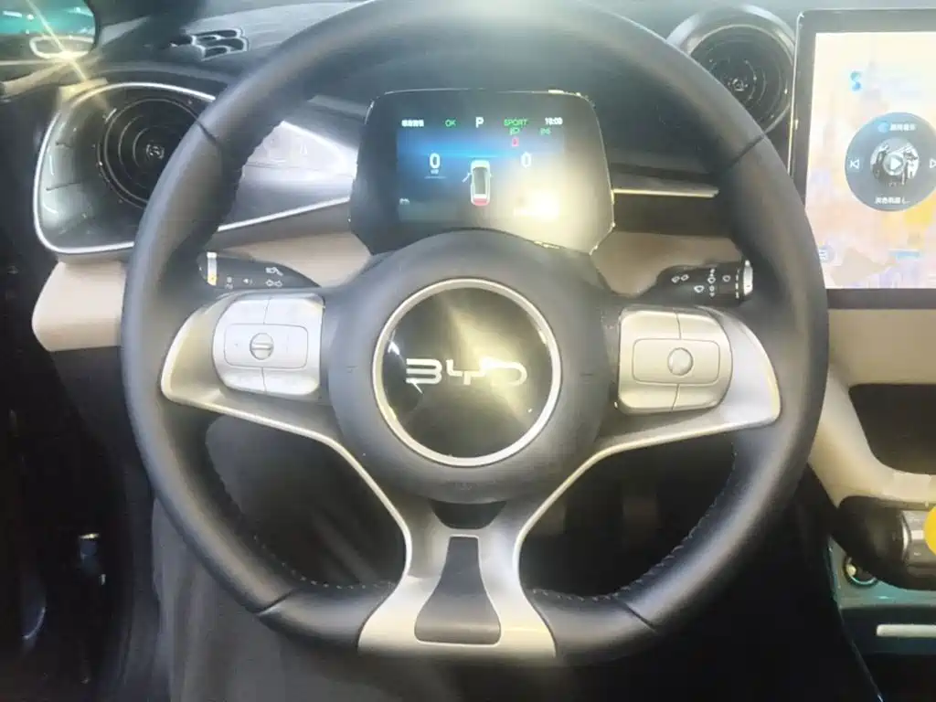 Photo 11 - BYD Dolphin