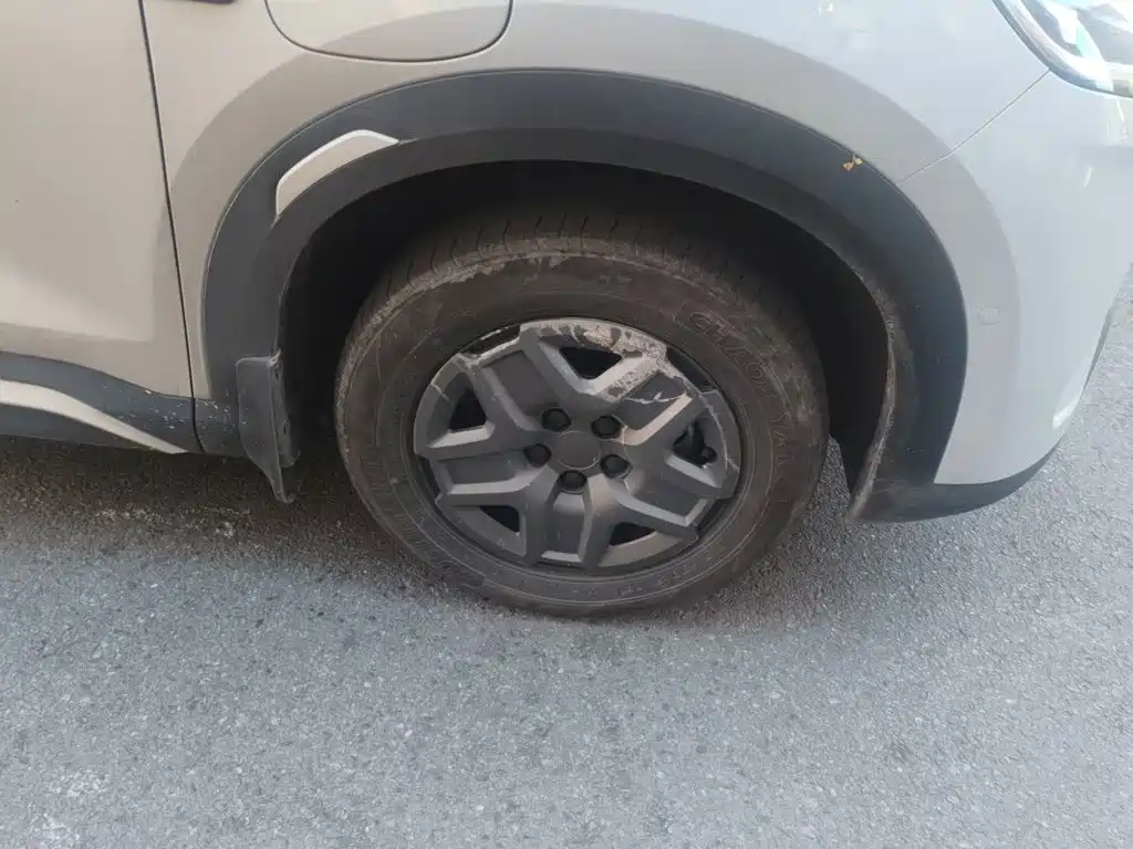 BYD Yuan UP 2025 2025 Smart Drive Edition 401KM Vitality Version