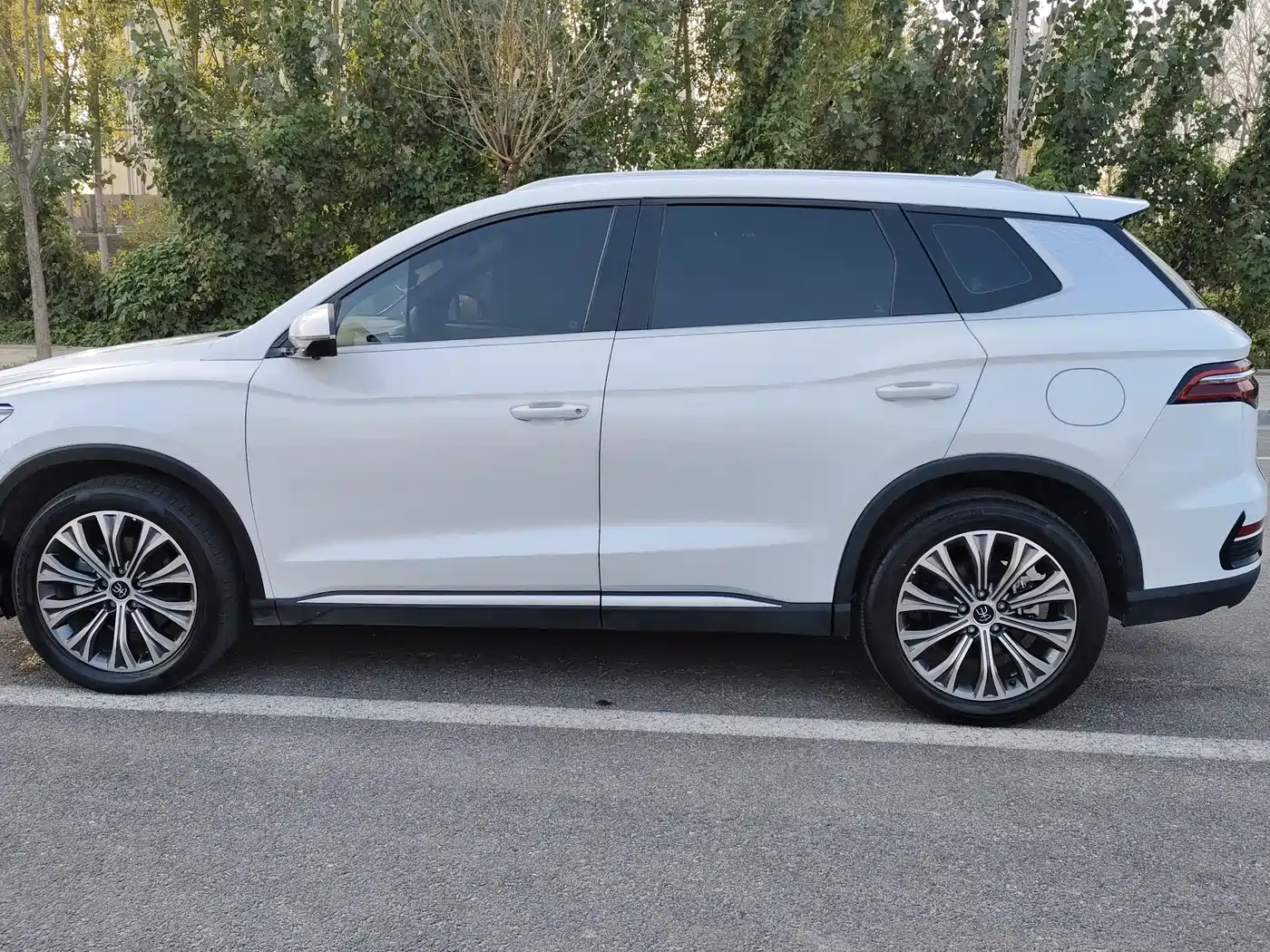 BYD Song Pro New Energy 2022 DM-i 110km Flagship фото 8