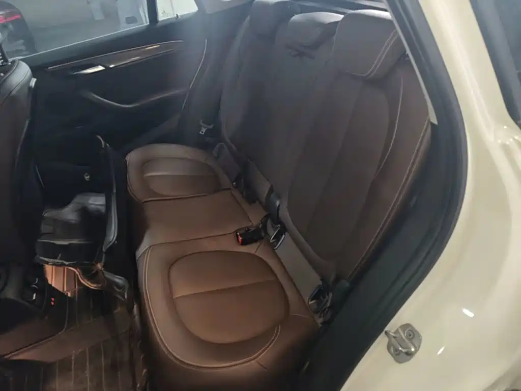 BMW X1 New Energy 2019 2019 xDrive25Le Range Upgrade Edition