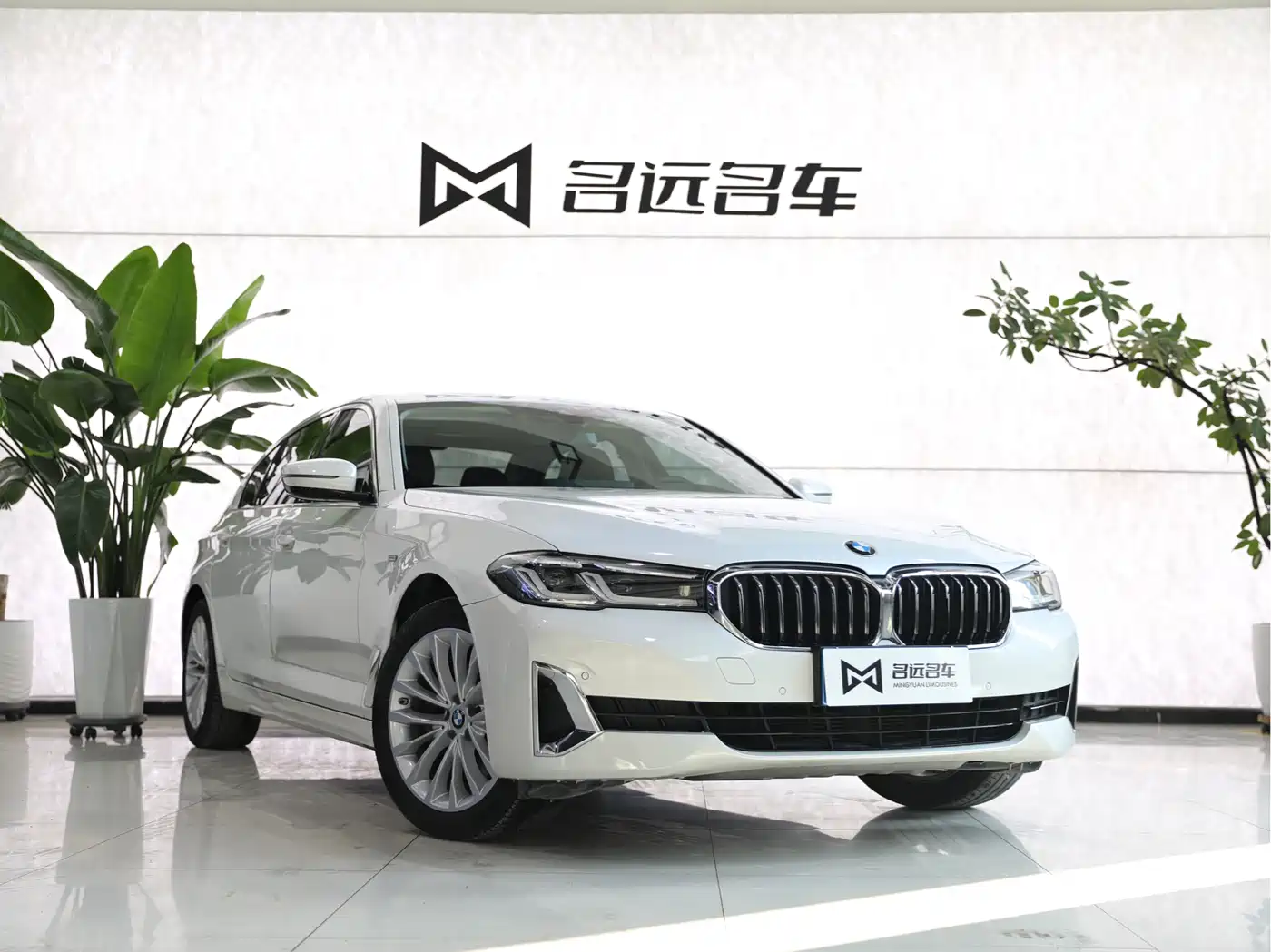 BMW 5 Series 2021 525Li Luxury Package фото 3