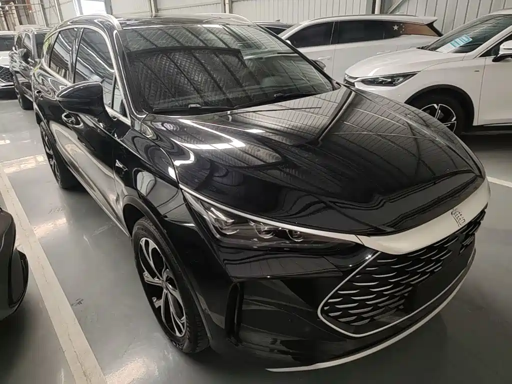 BYD Tang New Energy 2025 2025 Smart Driving Edition DM-i 115KM Honor