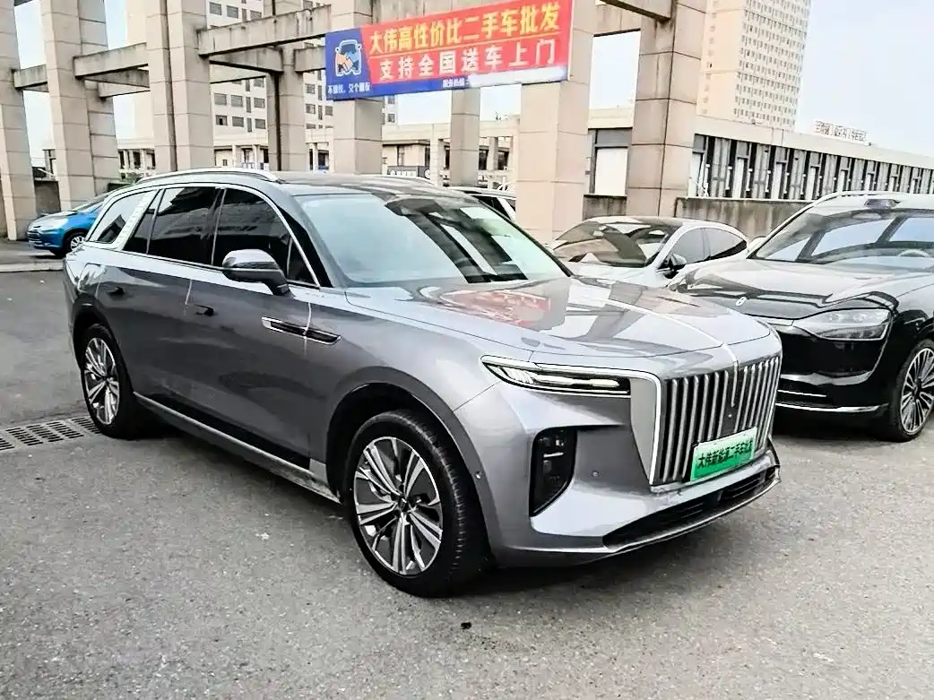 Hongqi E-HS9 2021 510km Flagship Comfort 6-seater фото 2