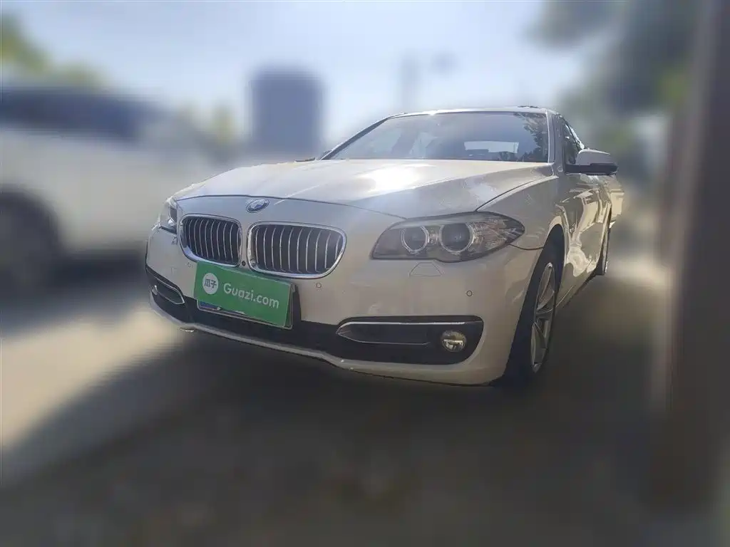BMW 5 Series 2014 520Li Elegance фото 2