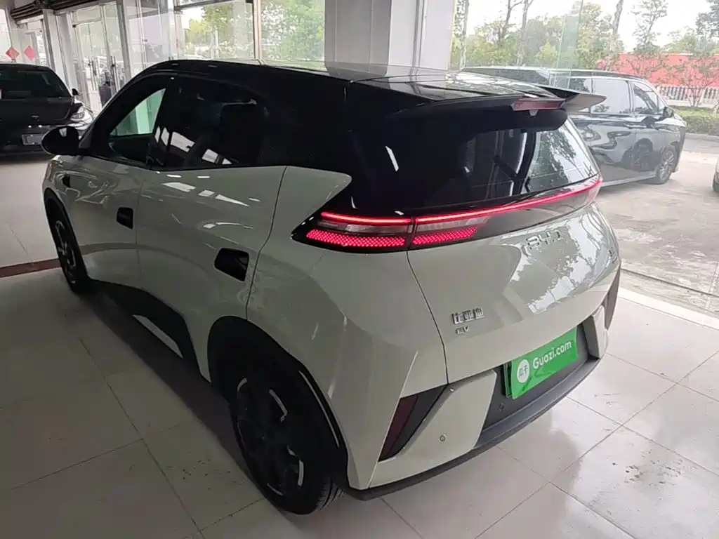 BYD Seagull 2026 2025 Smart Drive Edition 305km Freedom Version
