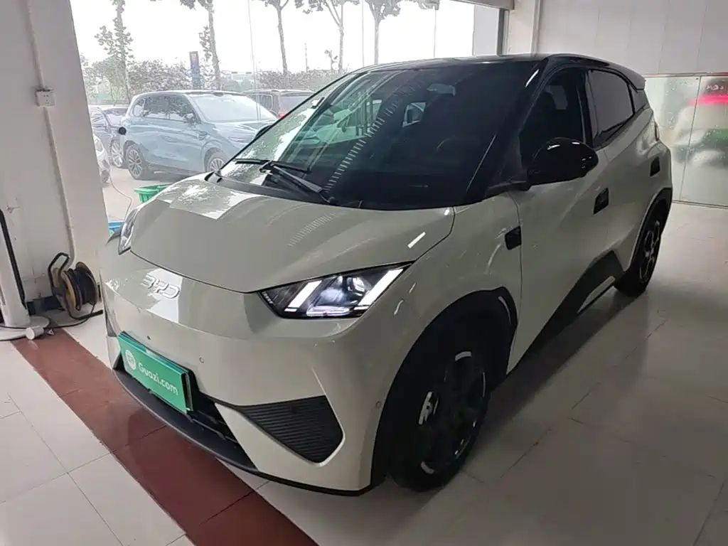 BYD Seagull 2026 2025 Smart Drive Edition 305km Freedom Version