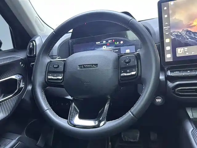 Haval Big Dog 2024 2.0T DCT Chinese Rural Dog Edition фото 11