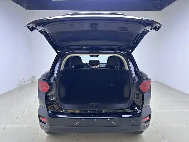 Haval Big Dog 2024 2.0T DCT Chinese Rural Dog Edition фото 15